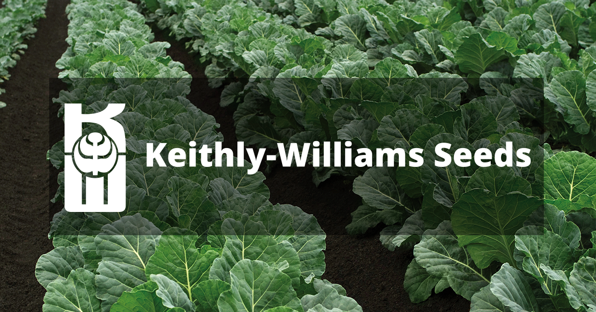 For Sale KeithlyWilliams Professional Seed Products, Ag